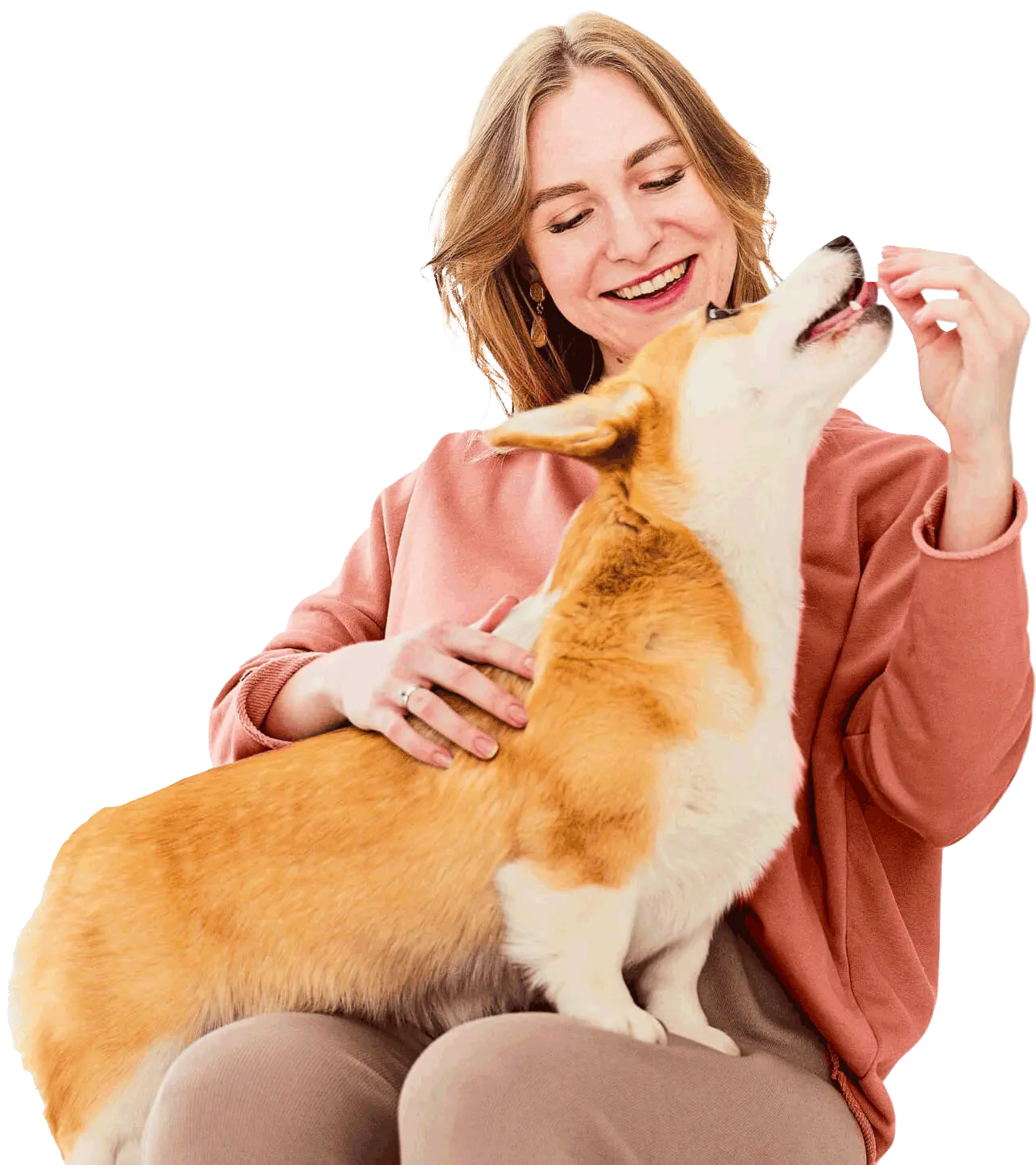 Clínica Veterinária For Pets Araraquara